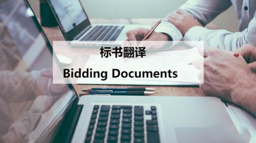 標(biāo)書翻譯服務(wù) 專業(yè)助力企業(yè)競(jìng)標(biāo)國(guó)際化